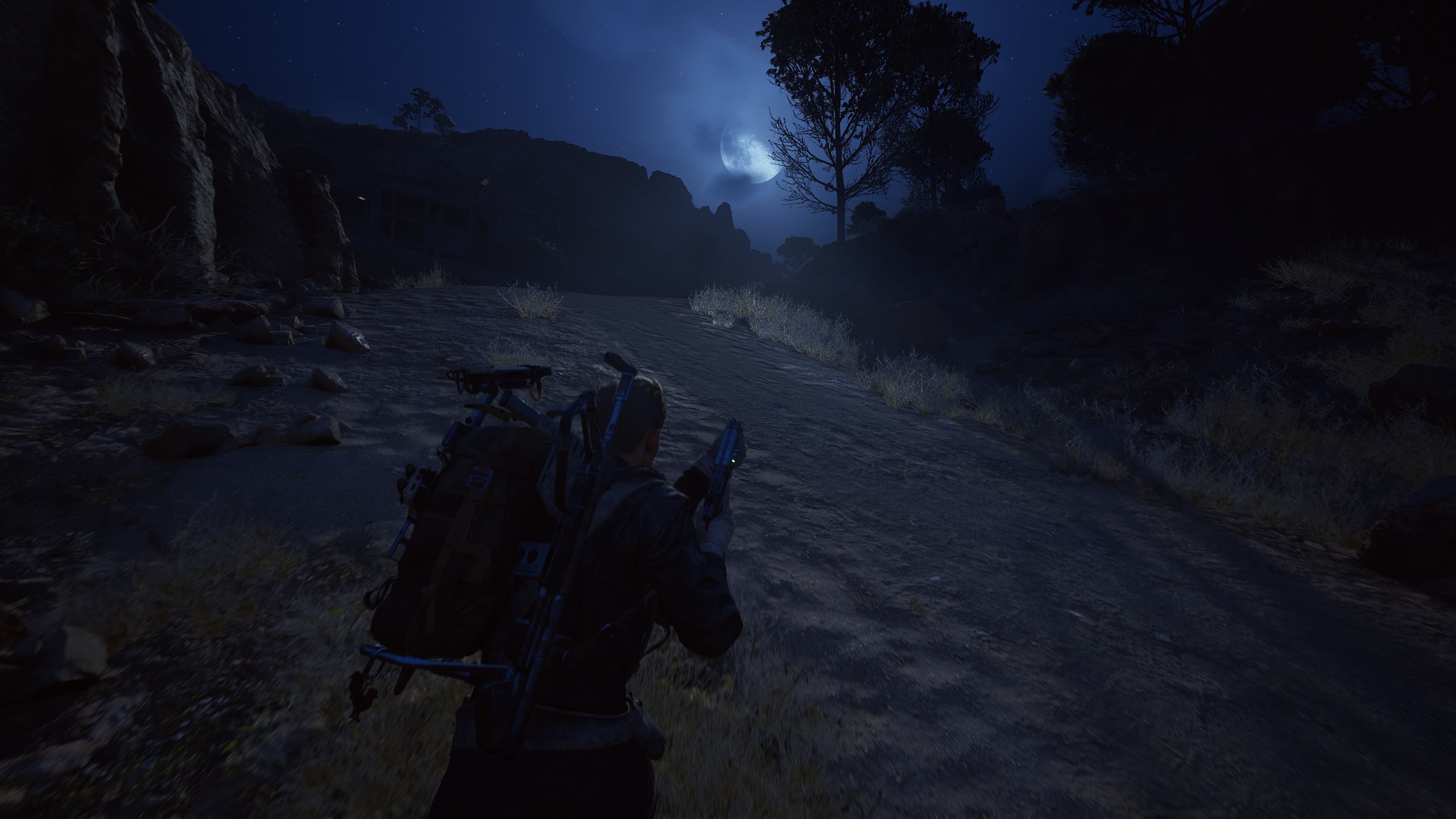 Surviving the Night Cycle on X-Isle: When a Lack of Visibility Becomes Your Greatest Ally or Worst Enemy